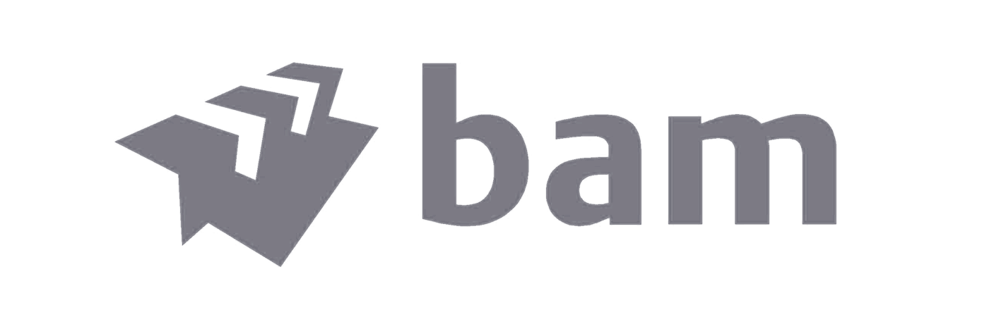 Bam logo