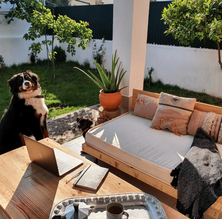 Flora's sunny work from home set up floras garden and her dogs