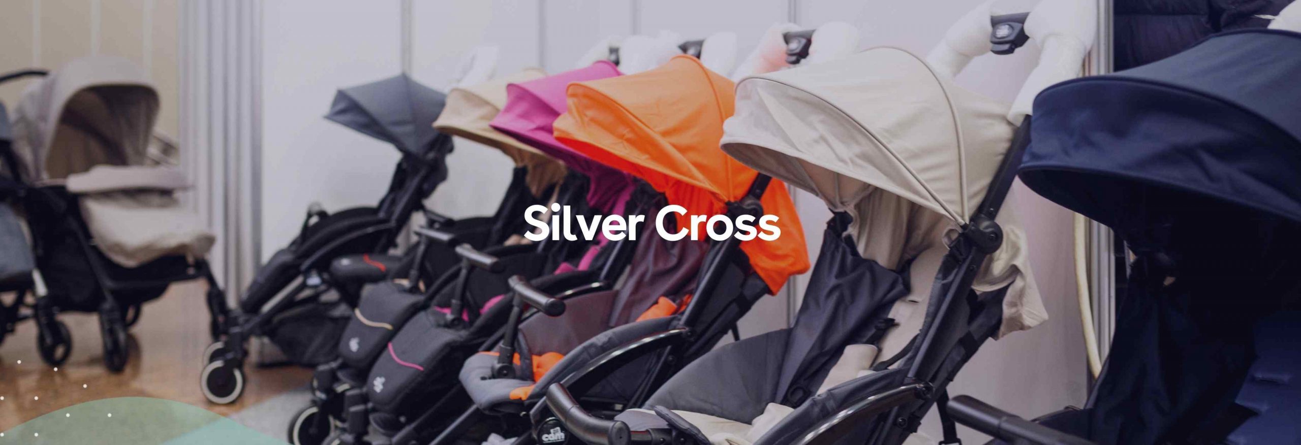 silver cross expense management
