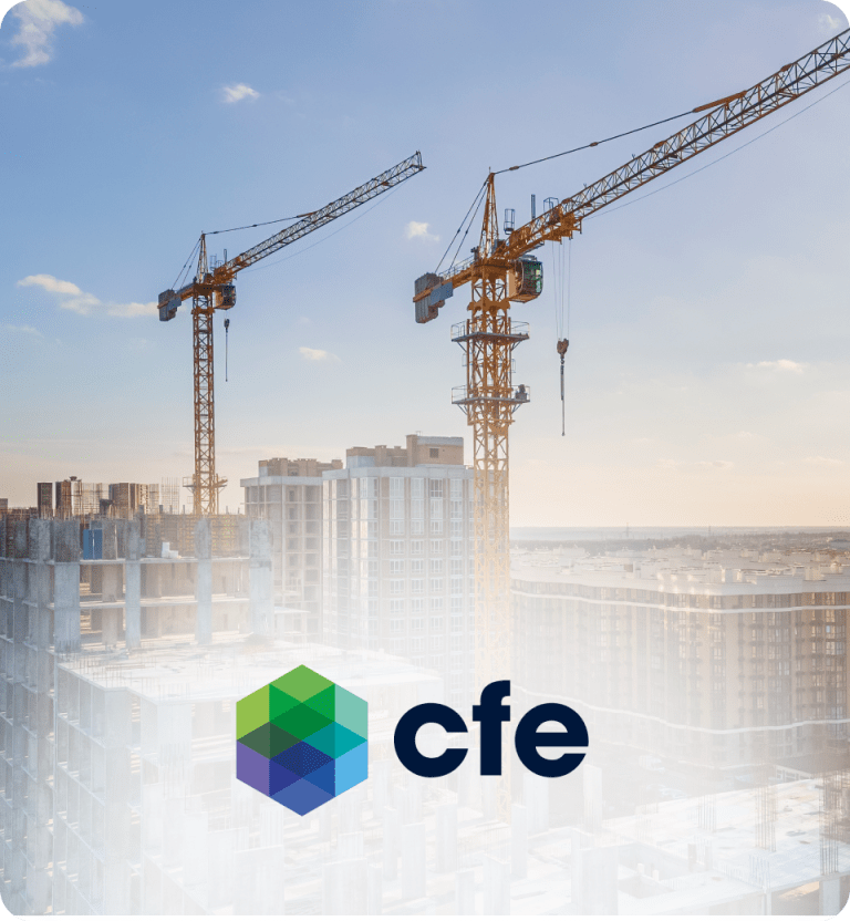 CFE group 1:1