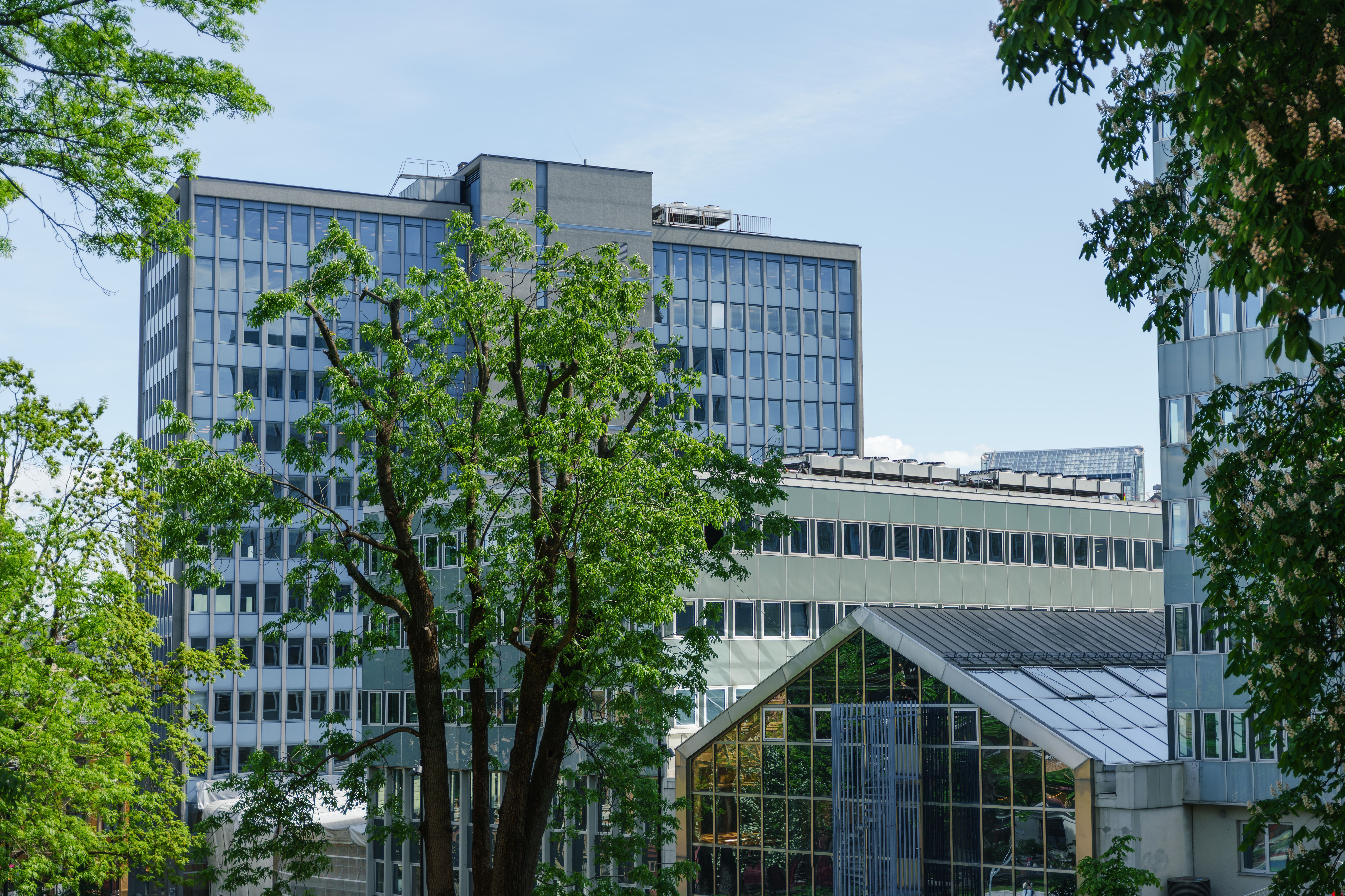 Obos hq
