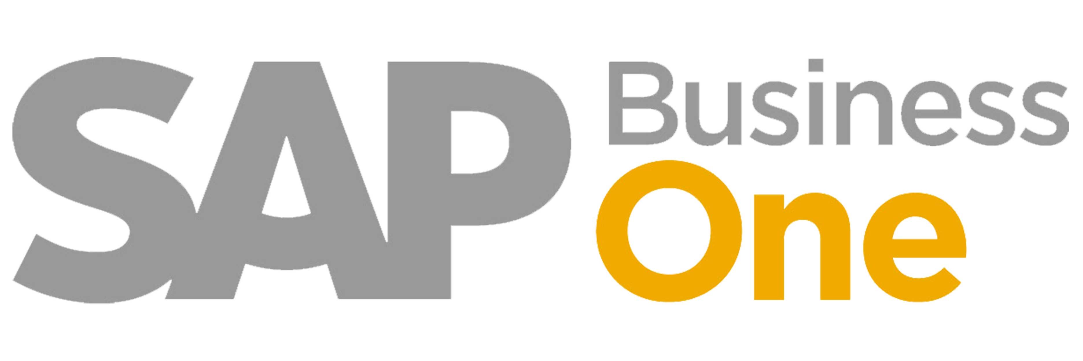 Sap business one 300